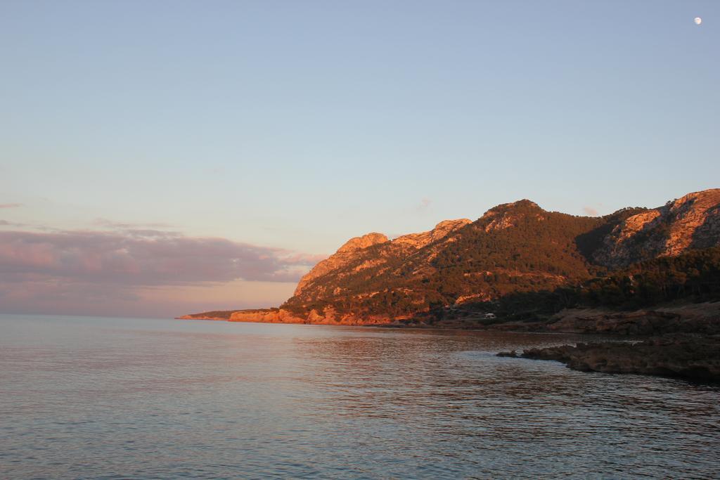 Hostal Brisa Marina Port de Alcudia  Exteriör bild